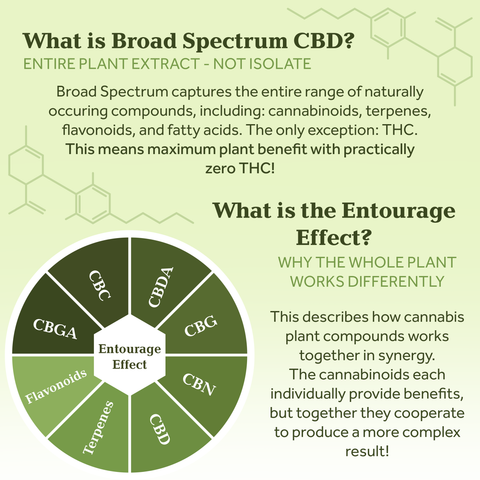 1 oz. Orange Blossom Honey 300 mg Broad Spectrum CBD Face Serum