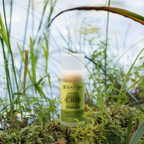 2 oz. 1500 mg Broad Spectrum CBD MAXStrength Muscle Stick