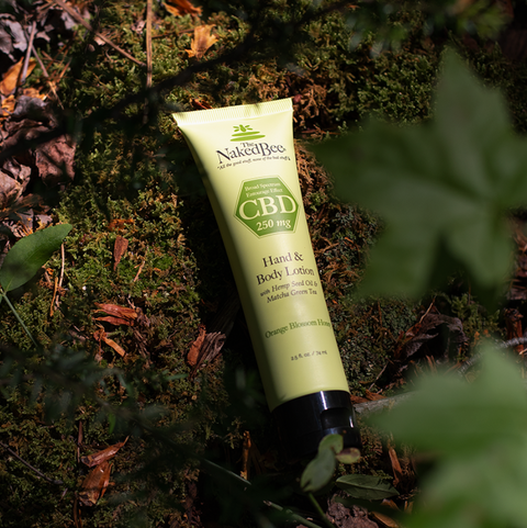 2.5 oz. Orange Blossom Honey 250 mg Broad Spectrum CBD Hand & Body Lotion