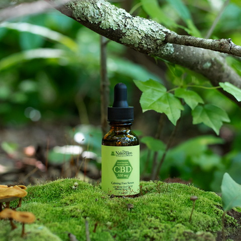 1 oz. Orange Blossom Honey 300 mg Broad Spectrum CBD Face Serum