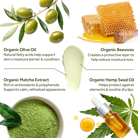 Matcha Green Tea & Hemp Seed Oil USDA Organic Lip Balm