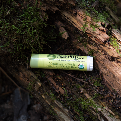 Matcha Green Tea & Hemp Seed Oil USDA Organic Lip Balm