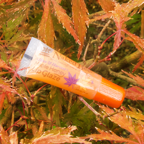 Hive & Honey Maple Honey Lip Glaze